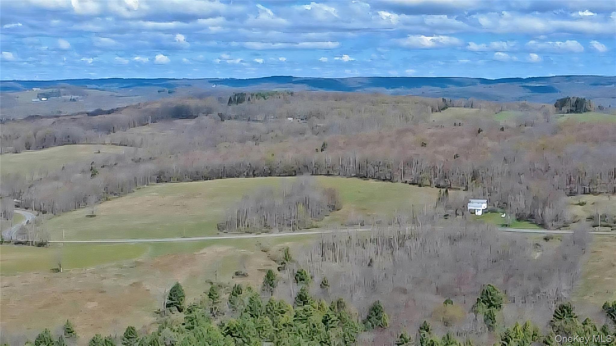 1089 Briscoe Road Swan Lake, NY 12783 - Photo 3 of 17