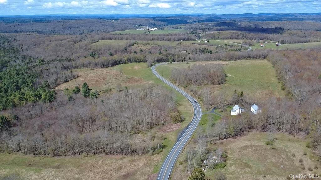 1089 Briscoe Road Swan Lake, NY 12783 - Photo 4 of 17