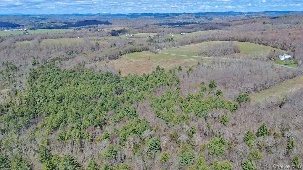 1089 Briscoe Road Swan Lake, NY 12783 - Photo 5 of 17