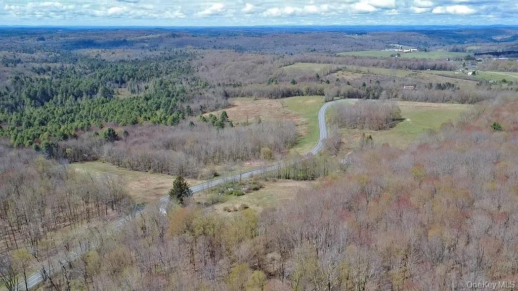 1089 Briscoe Road Swan Lake, NY 12783 - Photo 7 of 17