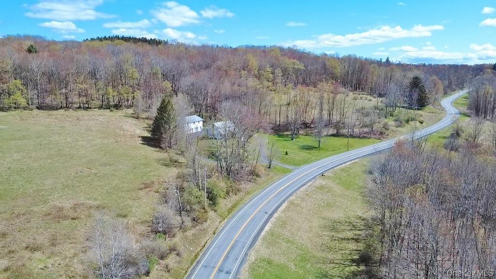 1089 Briscoe Road Swan Lake, NY 12783 - Photo 8 of 17