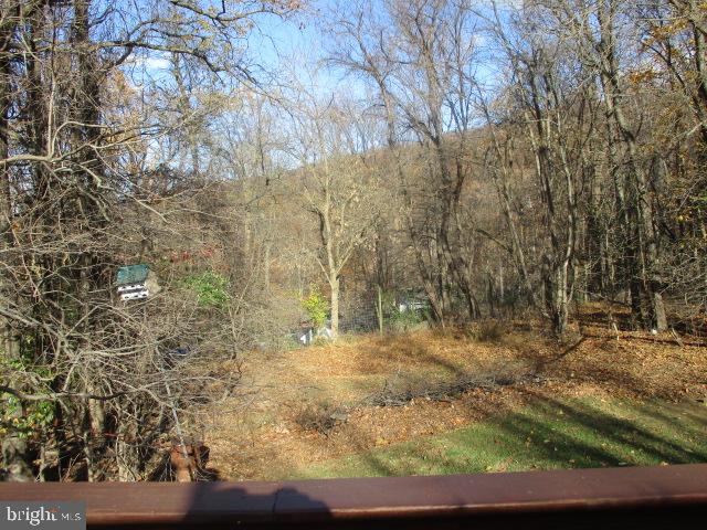 419 Steps To Heaven Road Linden, VA 22642 - Photo 10 of 40 Gallery Image 10