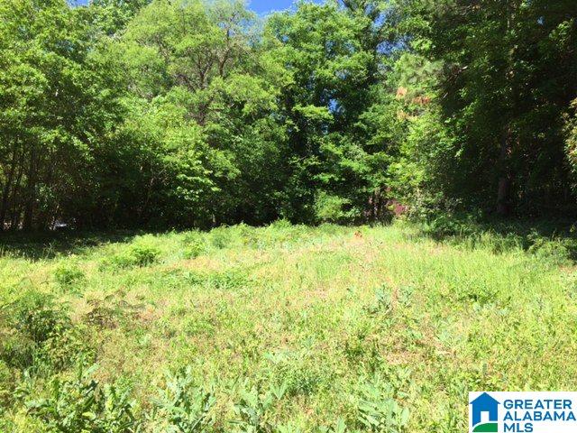 3406 Avalon Road, Unit LOT 4D Birmingham, AL 35209 - Photo 2 of 2