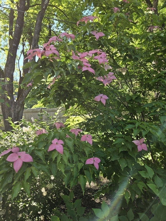 135 Williams Road Concord, MA 01742 - Photo 23 of 26