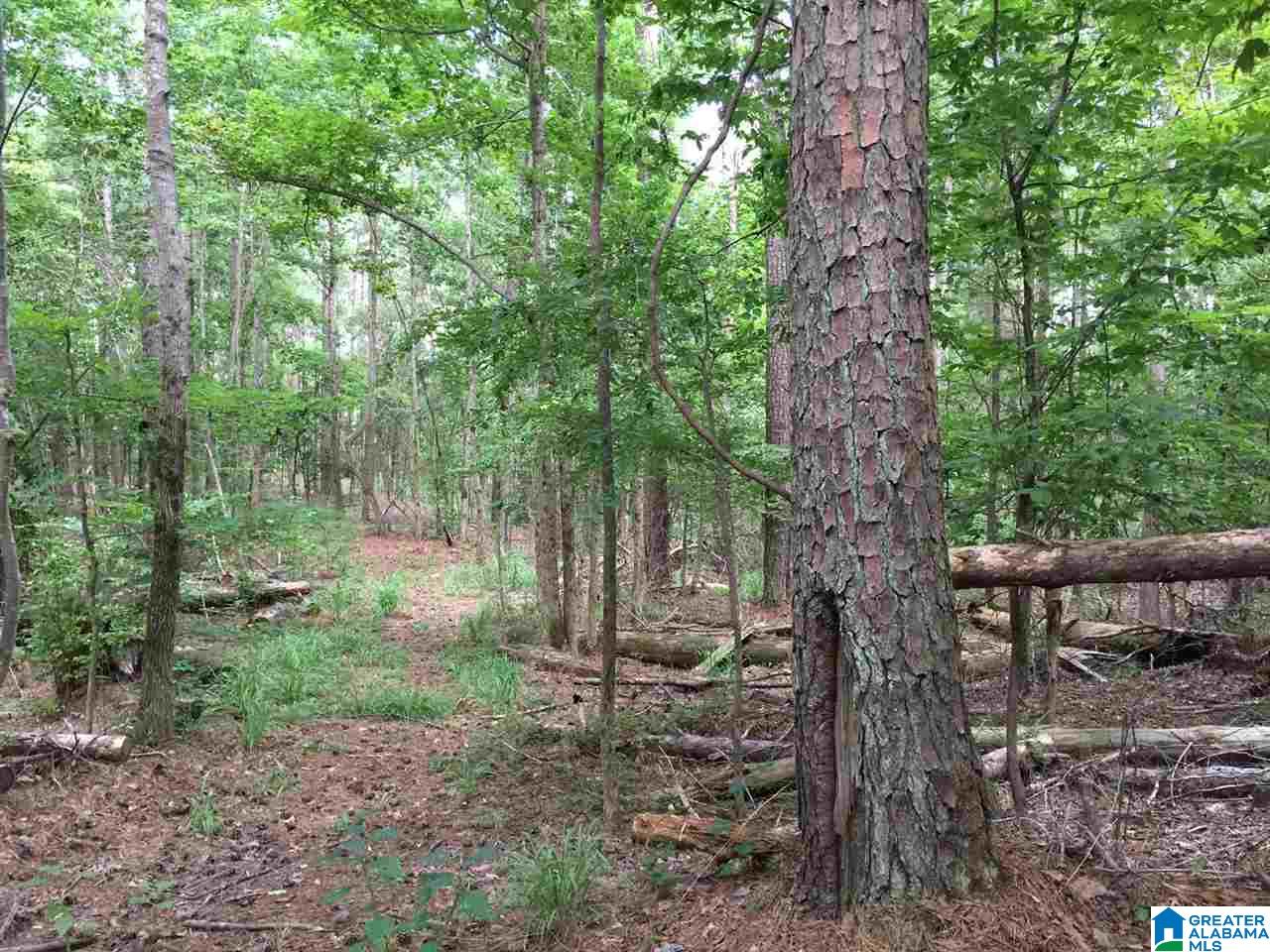 2364 Grants Mill Road Birmingham, AL 35210 - Photo 9 of 17