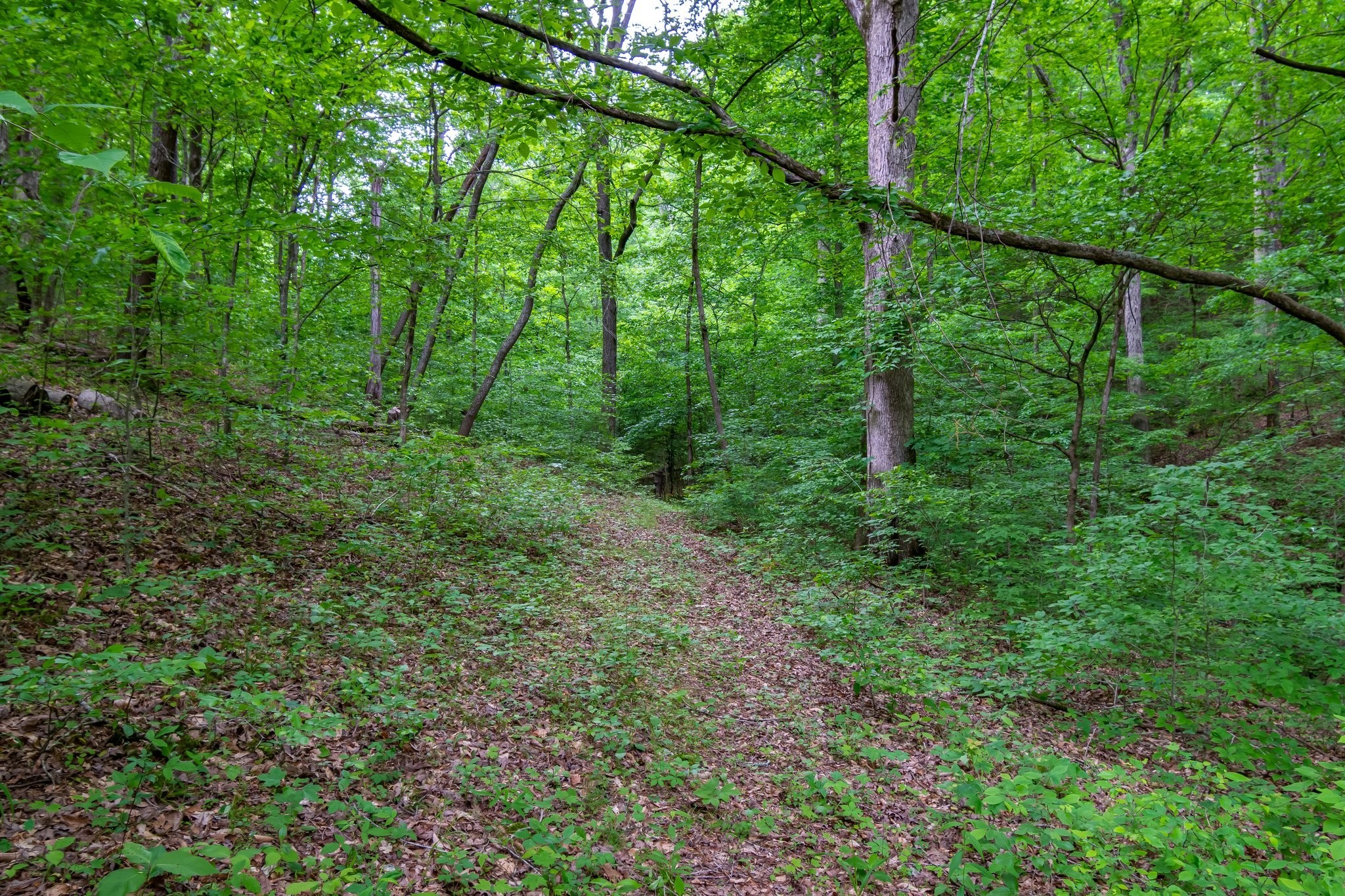 3402 Blackburn Road Santa Fe, TN 38482 - Photo 31 of 35