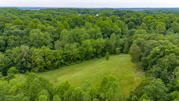 a view of a yard with a tree