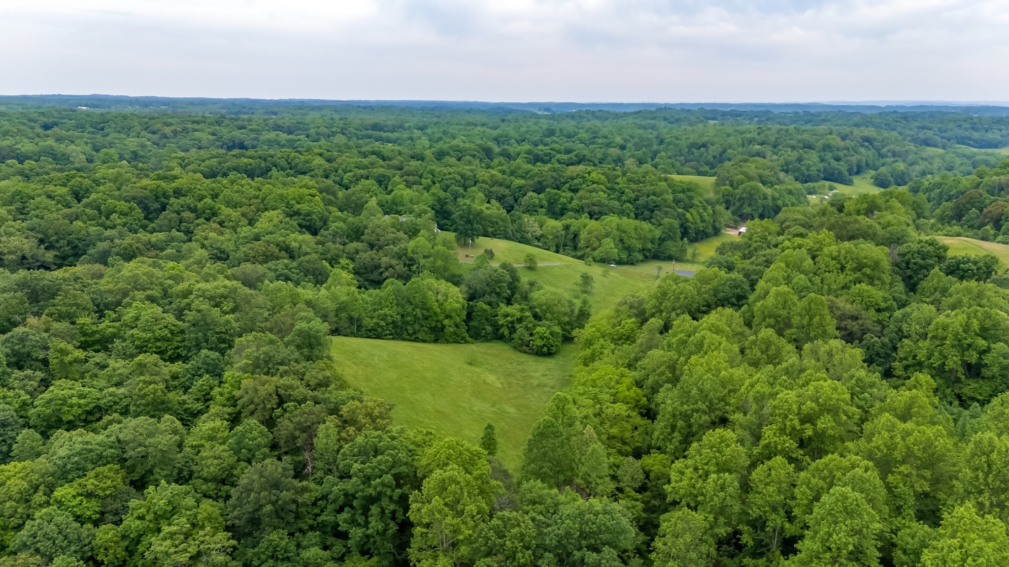 3402 Blackburn Road Santa Fe, TN 38482 - Photo 33 of 35