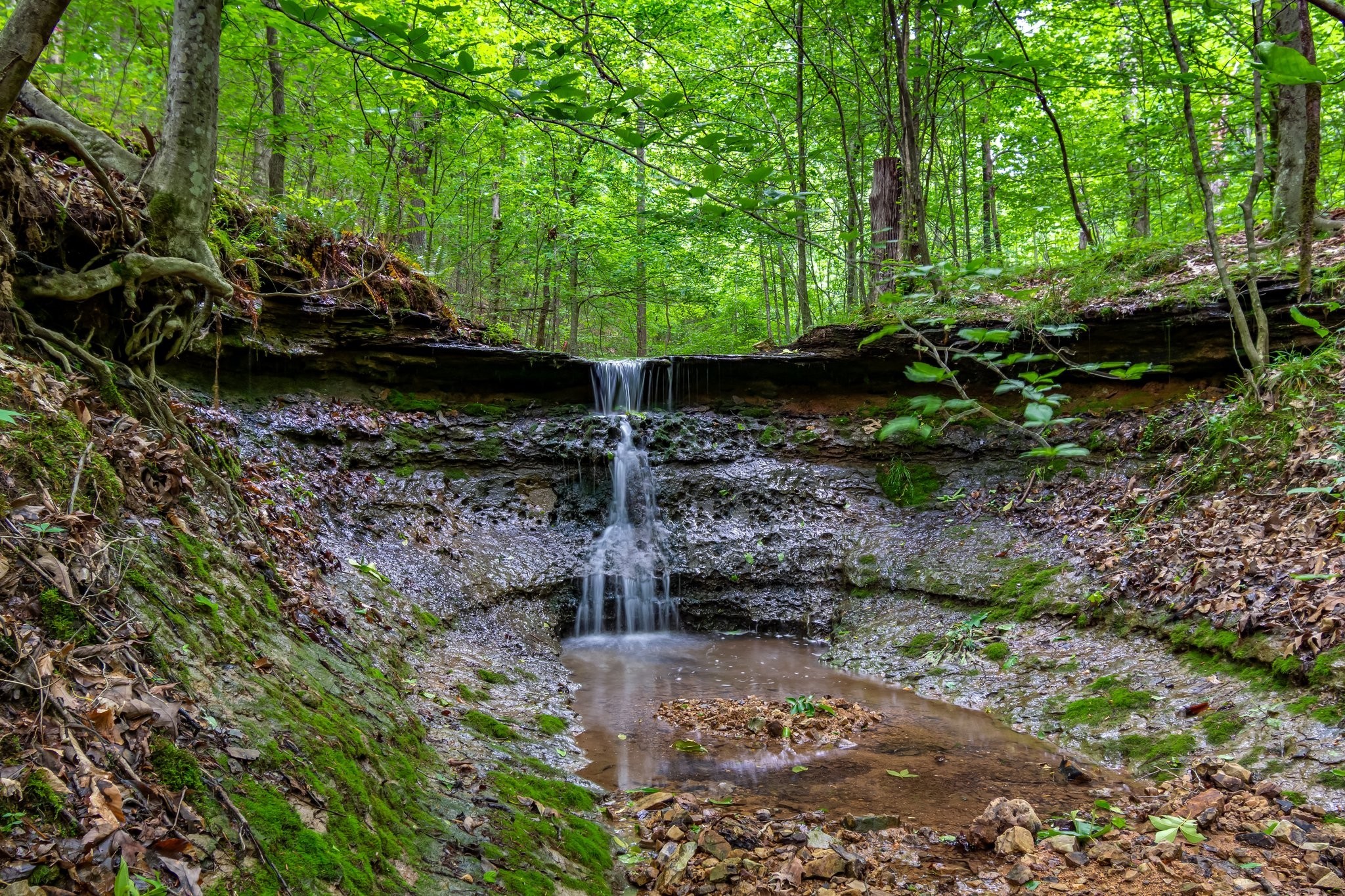 3402 Blackburn Road Santa Fe, TN 38482 - Photo 5 of 35