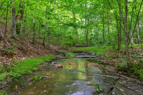 $1,199,000 | 3402 Blackburn Road, Santa Fe, TN 38482