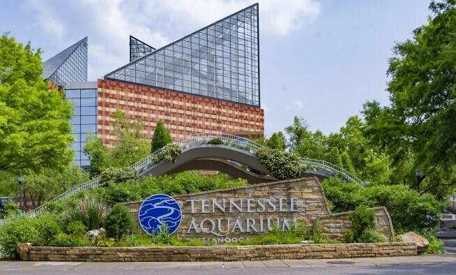 7642 Nightingale Court, Unit 62 Chattanooga, TN 37421 - Photo 15 of 23 aquarium