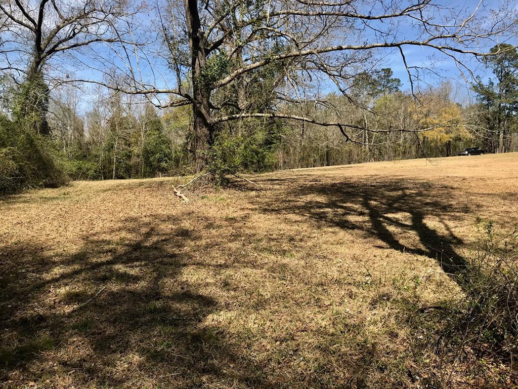 Lot 1 Holiness Church Road Wagener, SC 29164 - Photo 15 of 22