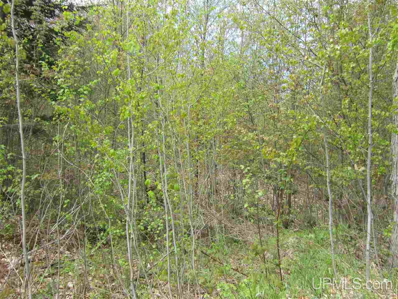 Lot 4 Ridge Road Munising, MI 49862 - Photo 4 of 4 Gallery Image 4