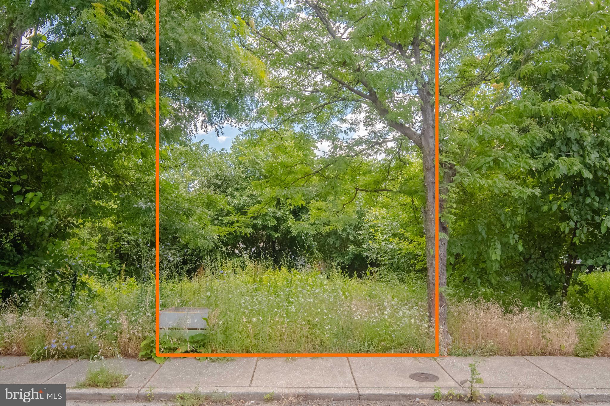 623 North Rose Street Baltimore, MD 21205 - Photo 2 of 14 View from Rose Street