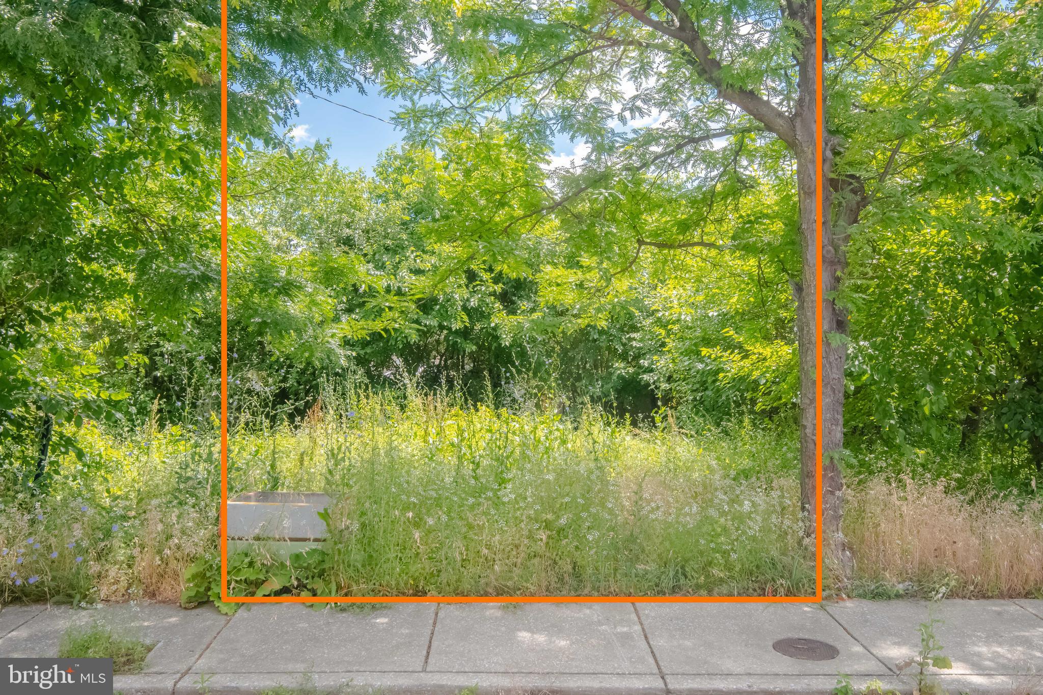 623 North Rose Street Baltimore, MD 21205 - Photo 3 of 14 View from Rose Street