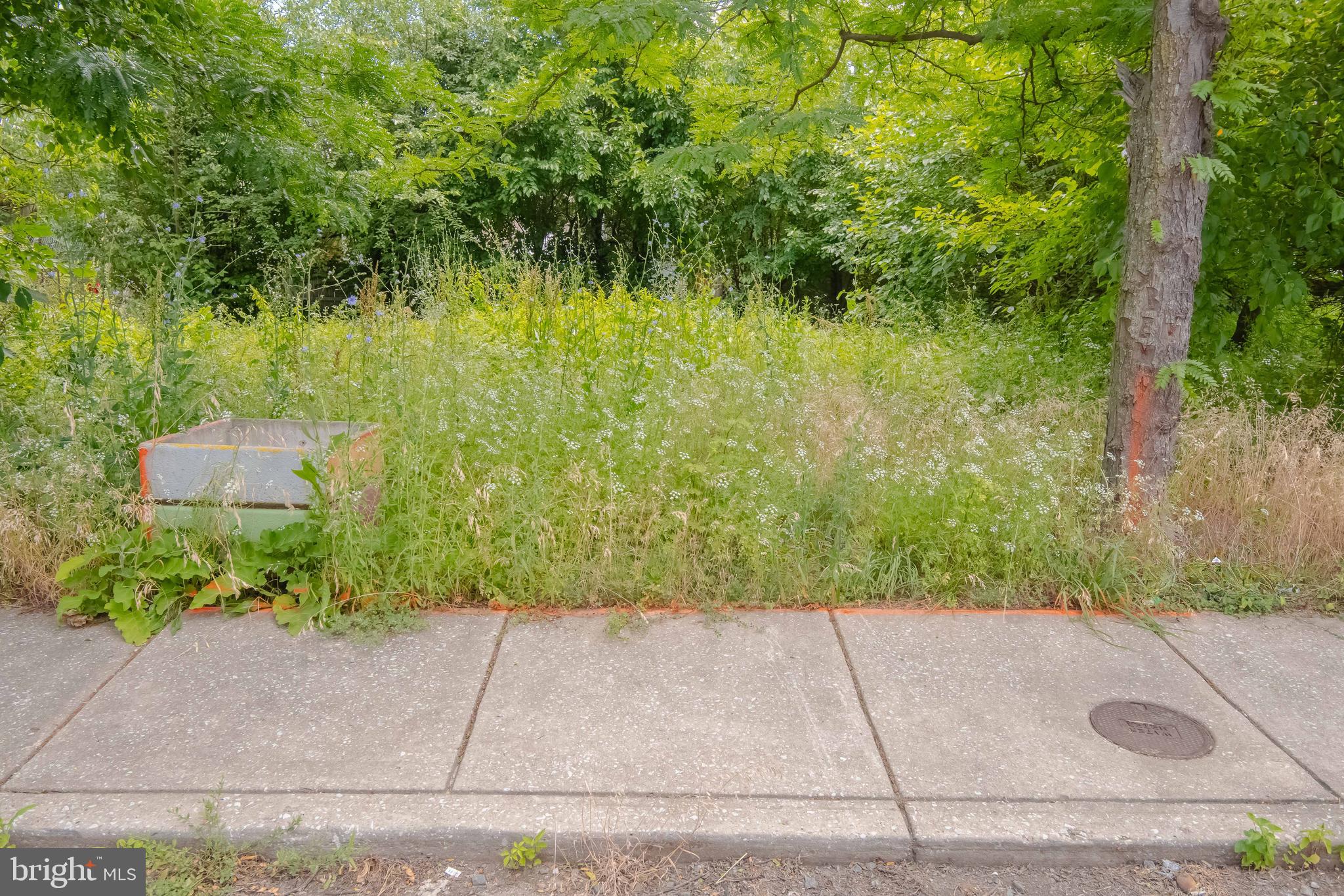 623 North Rose Street Baltimore, MD 21205 - Photo 4 of 14 View from Rose Street