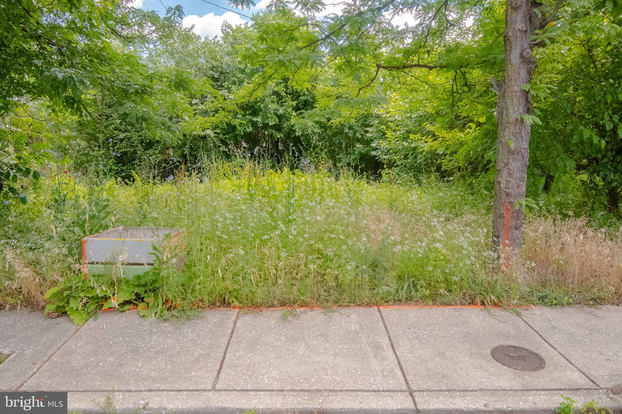 623 North Rose Street Baltimore, MD 21205 - Photo 5 of 14 View from Rose Street