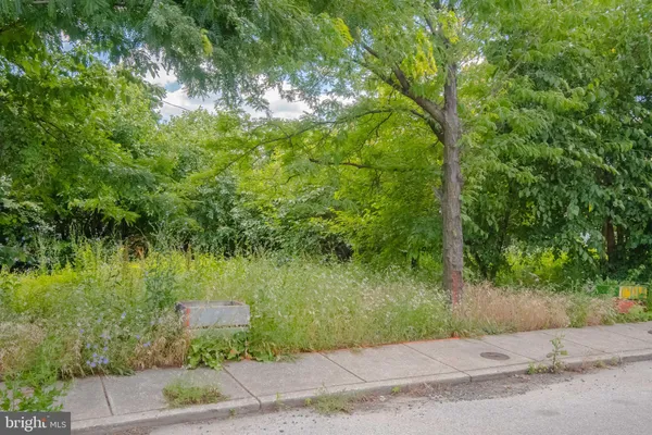 a backyard of a house with lots of green space and lake view