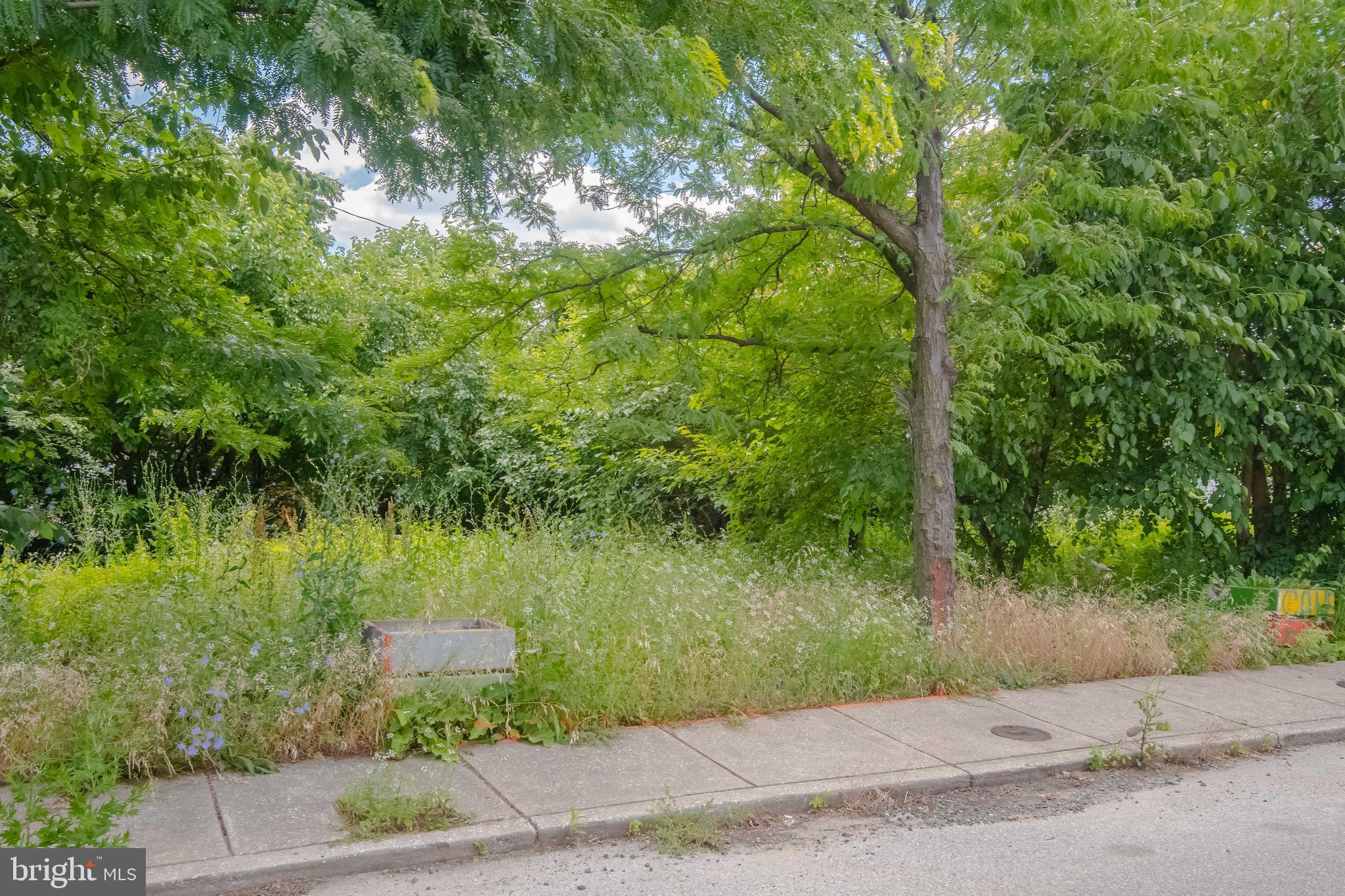 623 North Rose Street Baltimore, MD 21205 - Photo 7 of 14 View from Rose Street