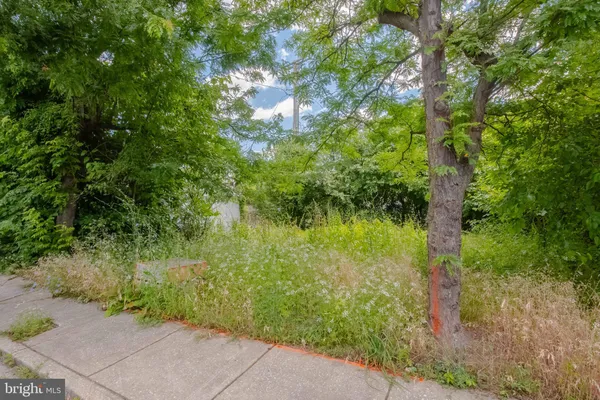 a backyard of a house with trees and plants