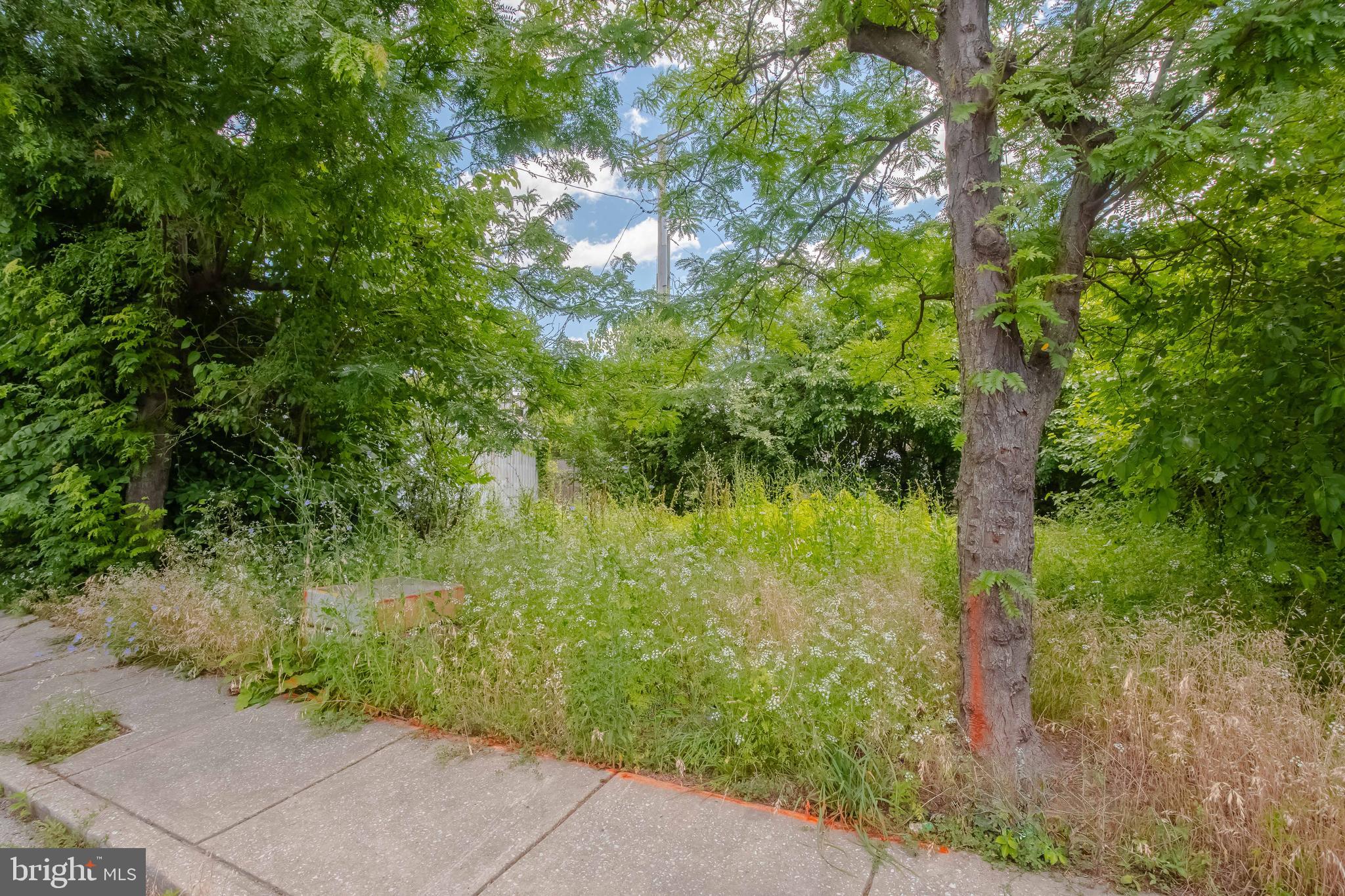 623 North Rose Street Baltimore, MD 21205 - Photo 8 of 14 View from Rose Street