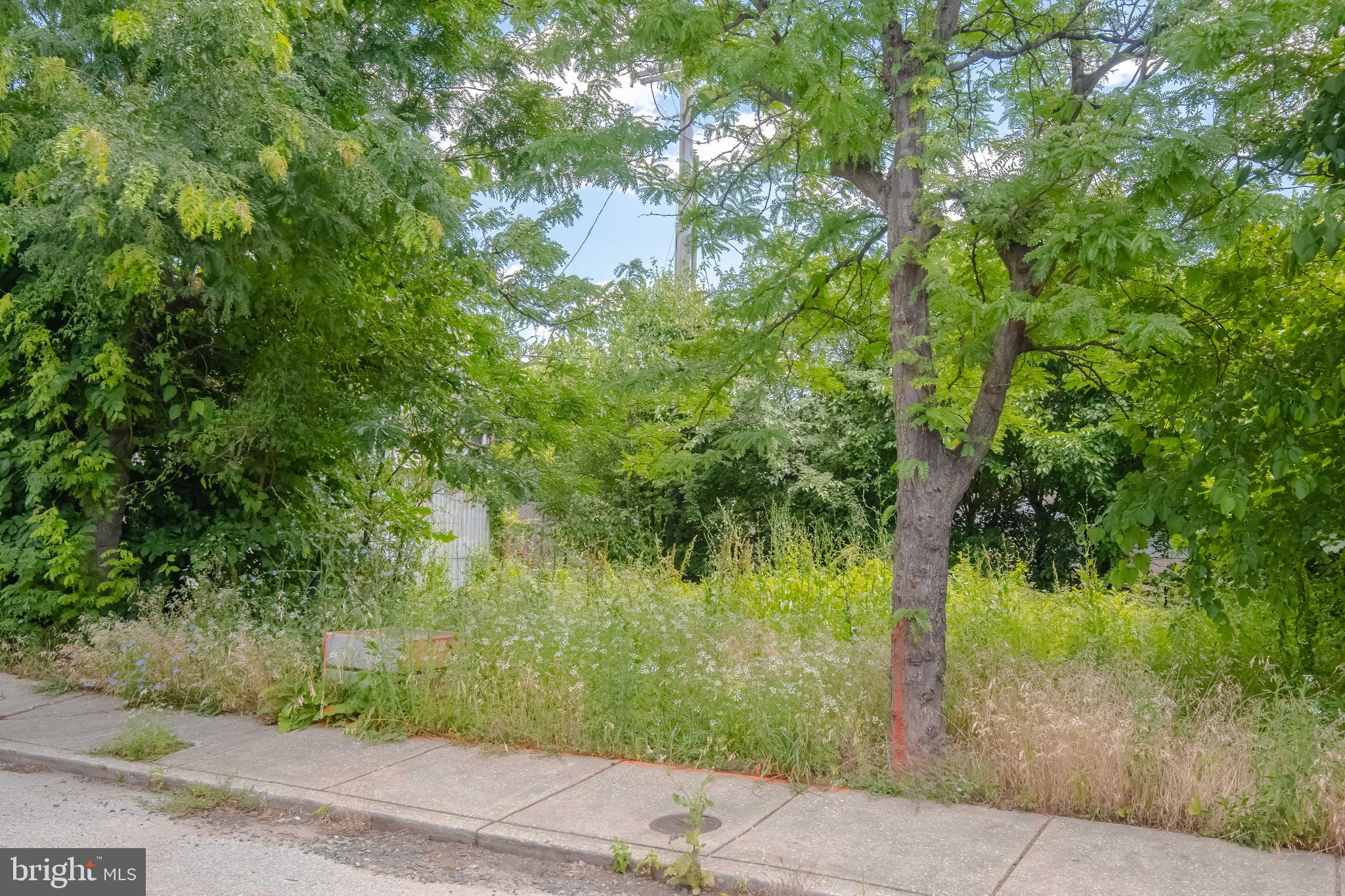 623 North Rose Street Baltimore, MD 21205 - Photo 9 of 14 View from Rose Street