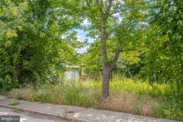 a view of a yard with an outdoor space