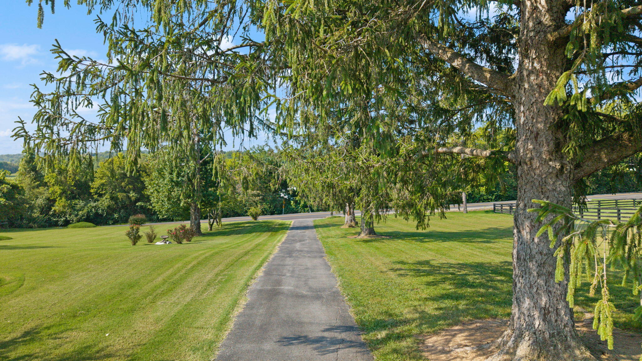 702 Rogers Road Lancaster, KY 40444 - Photo 48 of 60 50-web-or-mls-DJI_20260831104557_0943_D