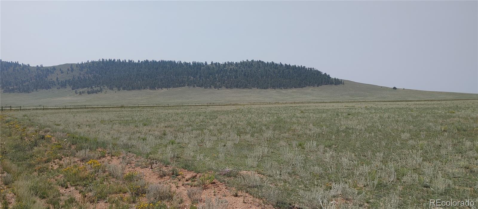 6933 Moffat Road Hartsel, CO 80449 - Photo 4 of 4