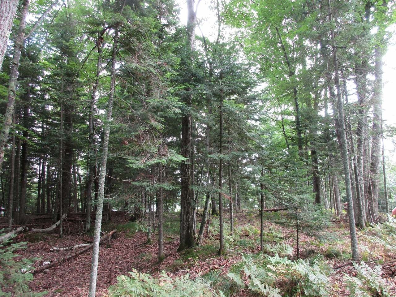 On Garrett's Trail, Unit LOT 1 Rhinelander, WI 54501 - Photo 14 of 14 Gallery Image 14