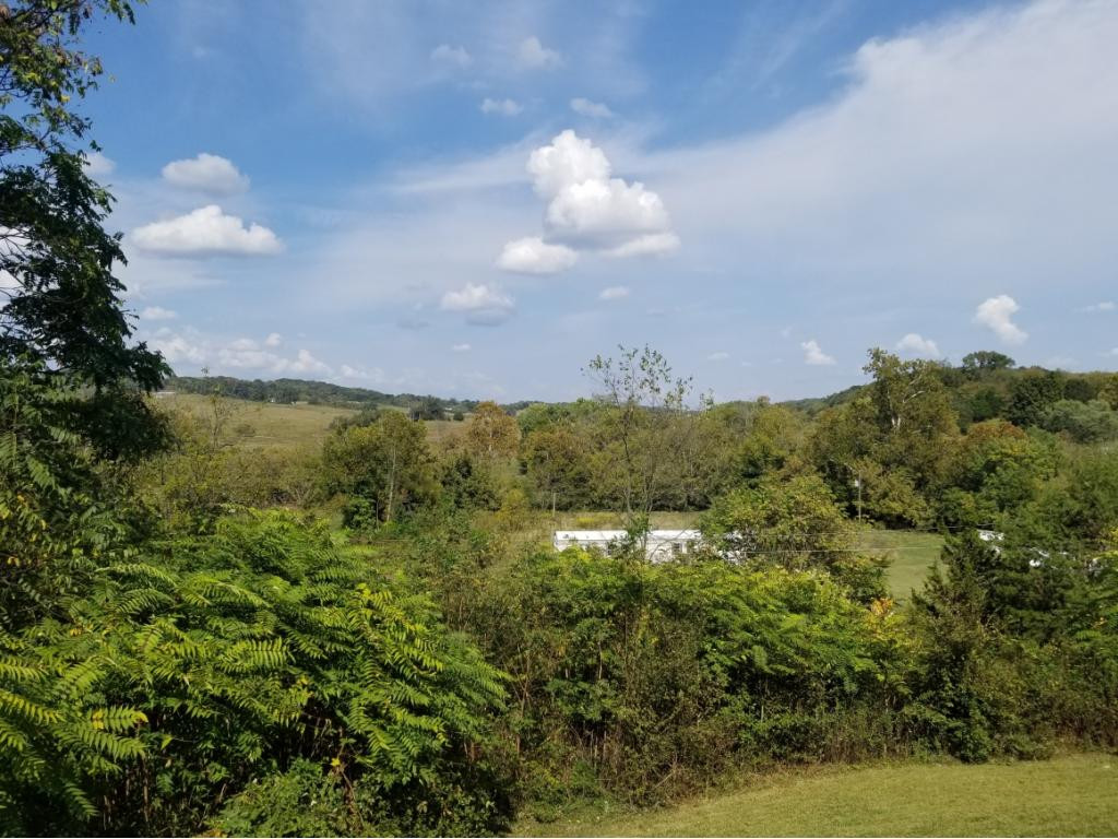 1945 Whirlwind Road Greeneville, TN 37743 - Photo 3 of 13 Photo 3