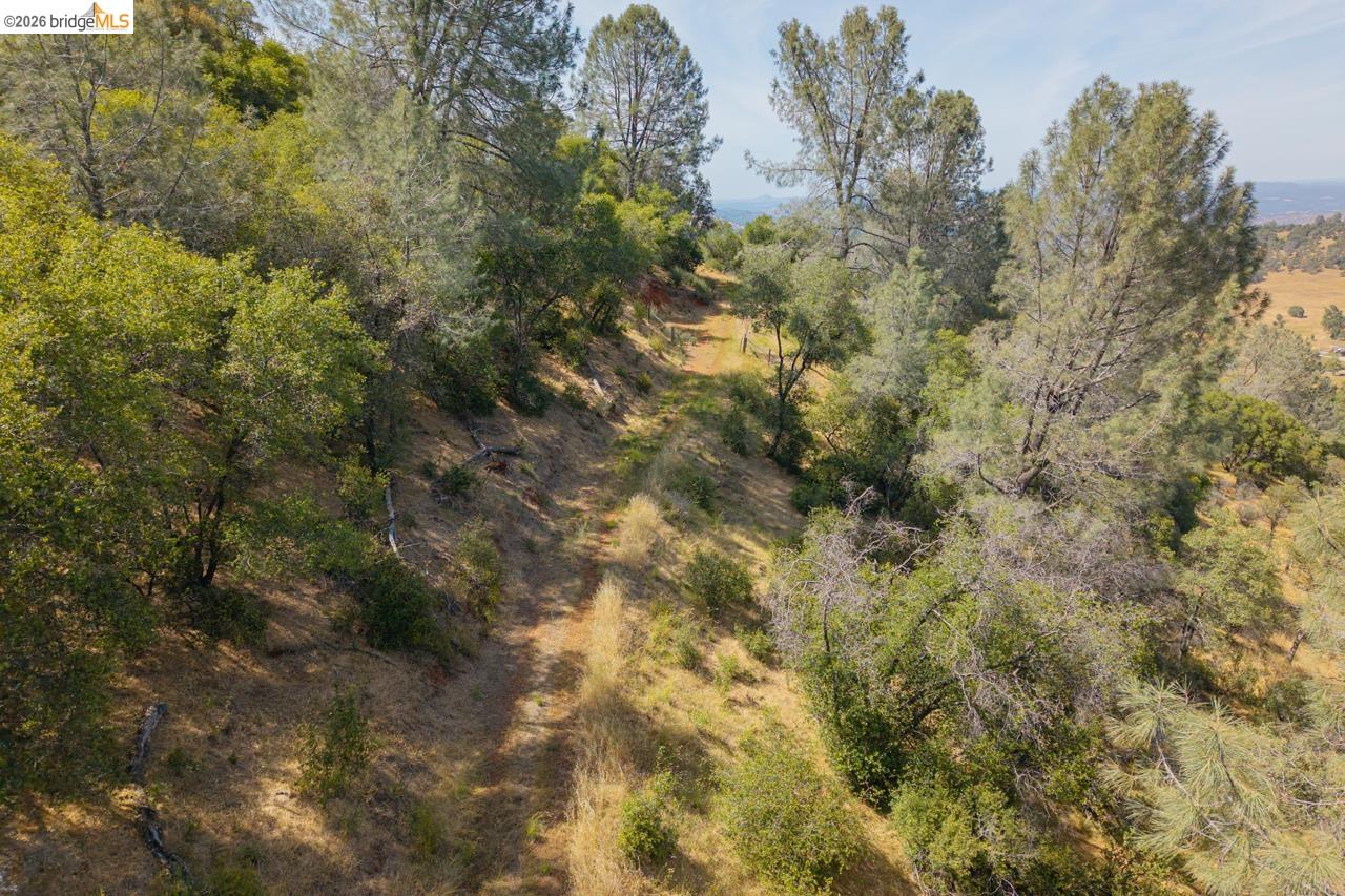 0 Pool Station Road Angels Camp, CA 95222 - Photo 22 of 28