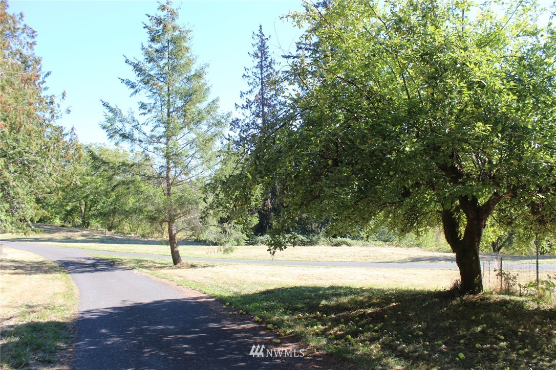 1669 Kelly Road Bellingham, WA 98226 - Photo 3 of 11