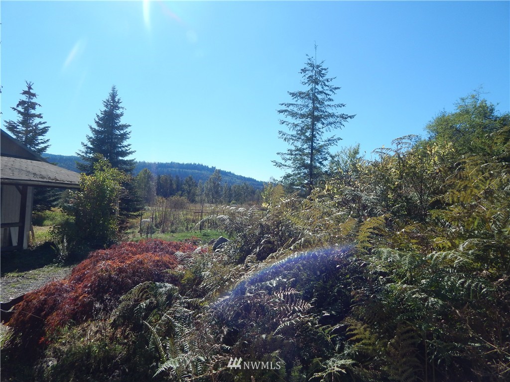 1669 Kelly Road Bellingham, WA 98226 - Photo 4 of 11