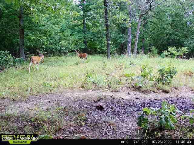 Lot 10 Copperstone Road Camdenton, MO 65020 - Photo 3 of 10