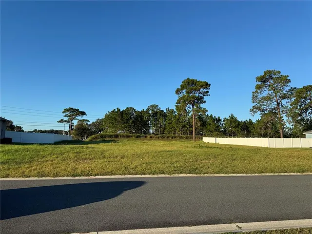a view of a big yard with a large trees
