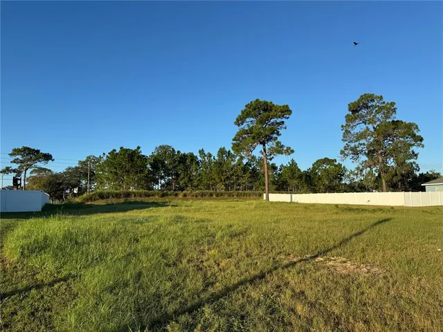 a view of a big yard with a large trees
