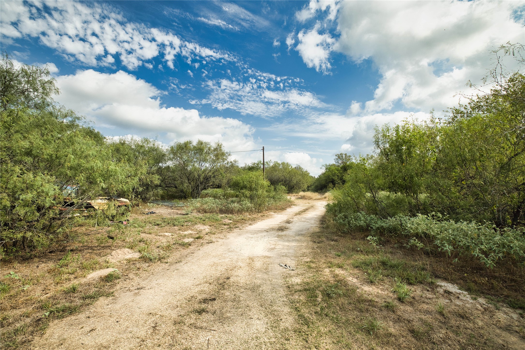 2900 Salt Flat Road Luling, TX 78648 - Photo 15 of 17 Mature trees and native vegetation line a rustic dirt path under expansive blue skies.