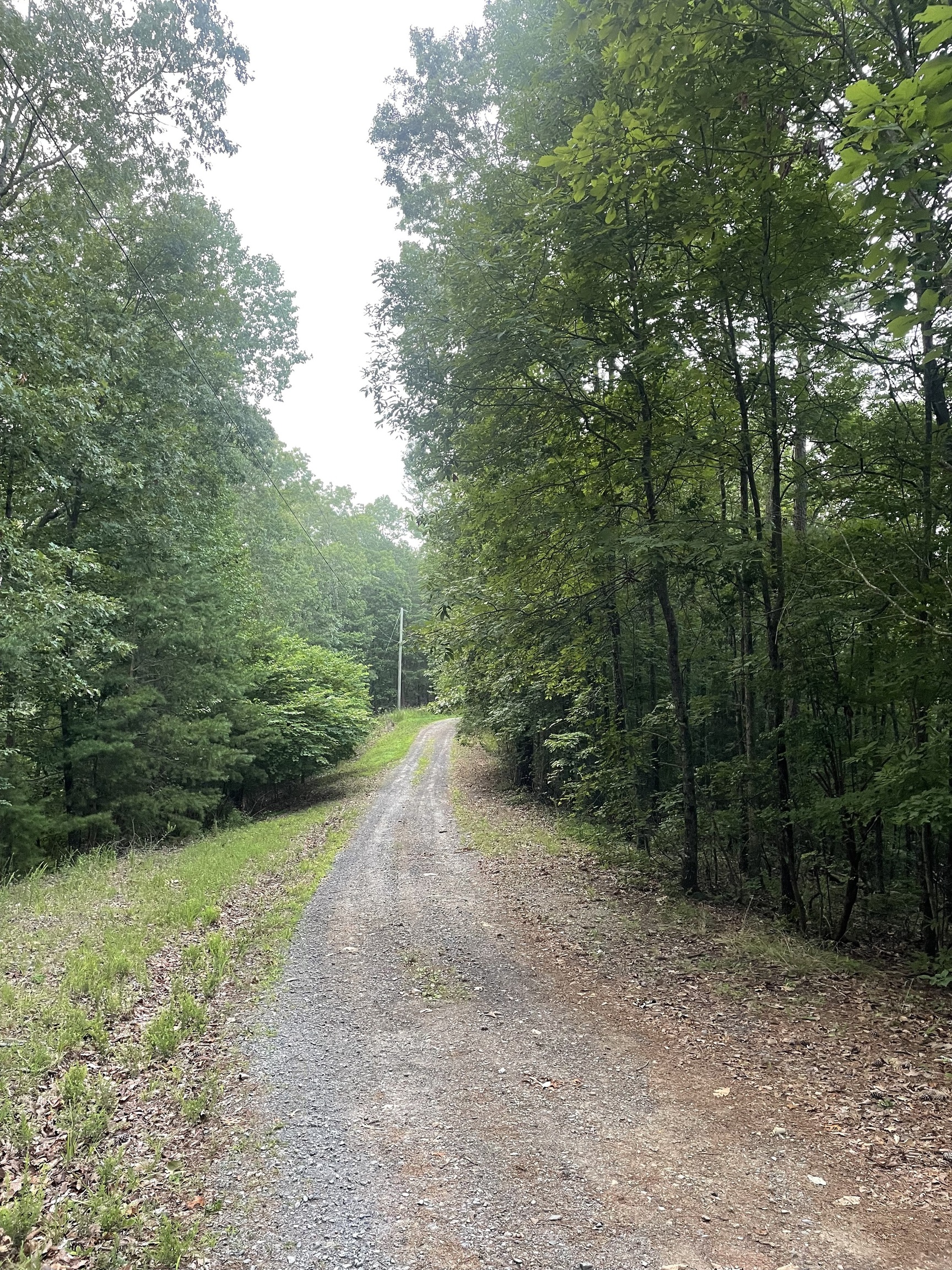 577 Galaxy Way Ranger, GA 30734 - Photo 3 of 12 a view of a road with trees in the background