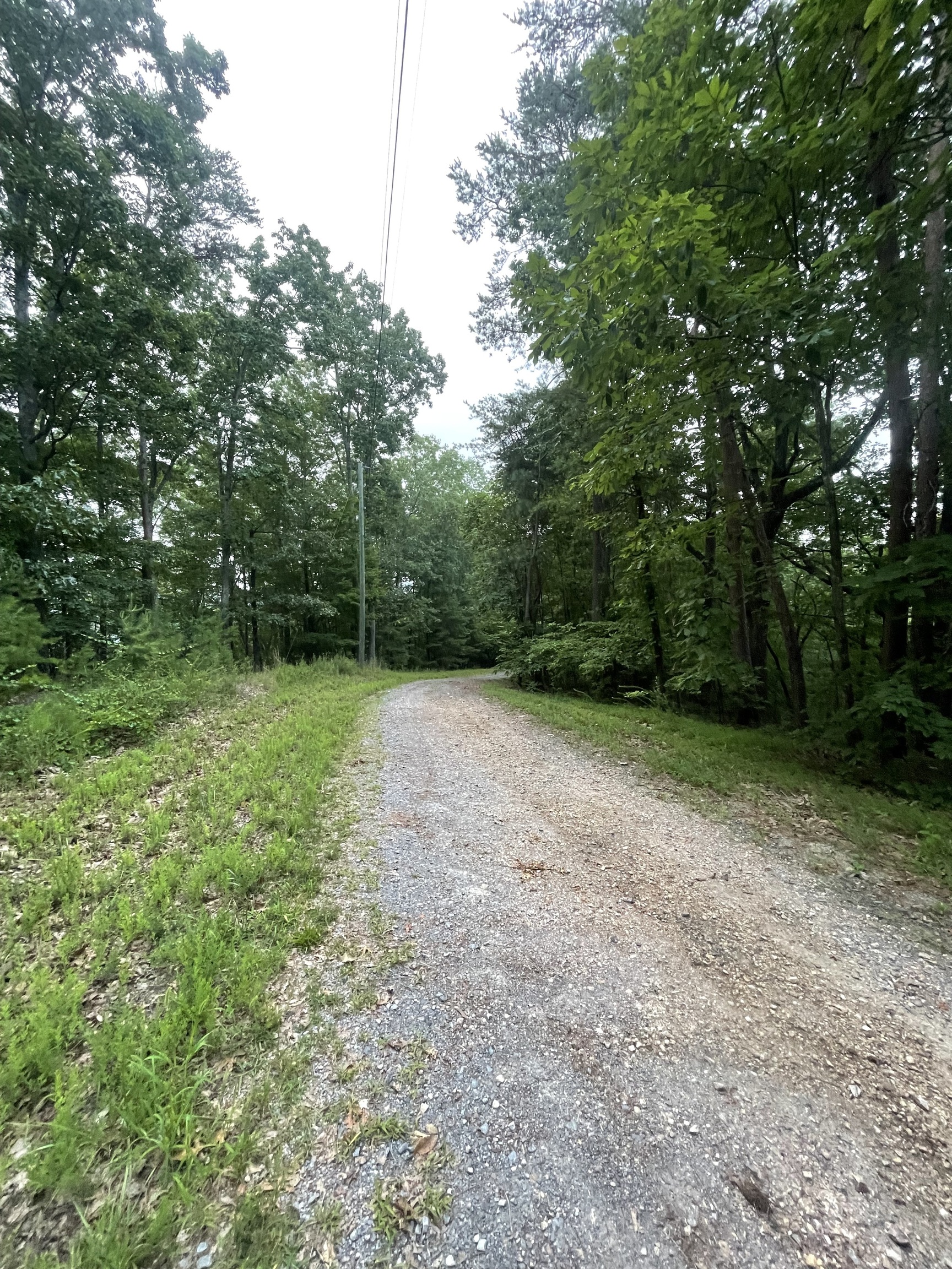 577 Galaxy Way Ranger, GA 30734 - Photo 4 of 12 a view of a field with trees in front of it