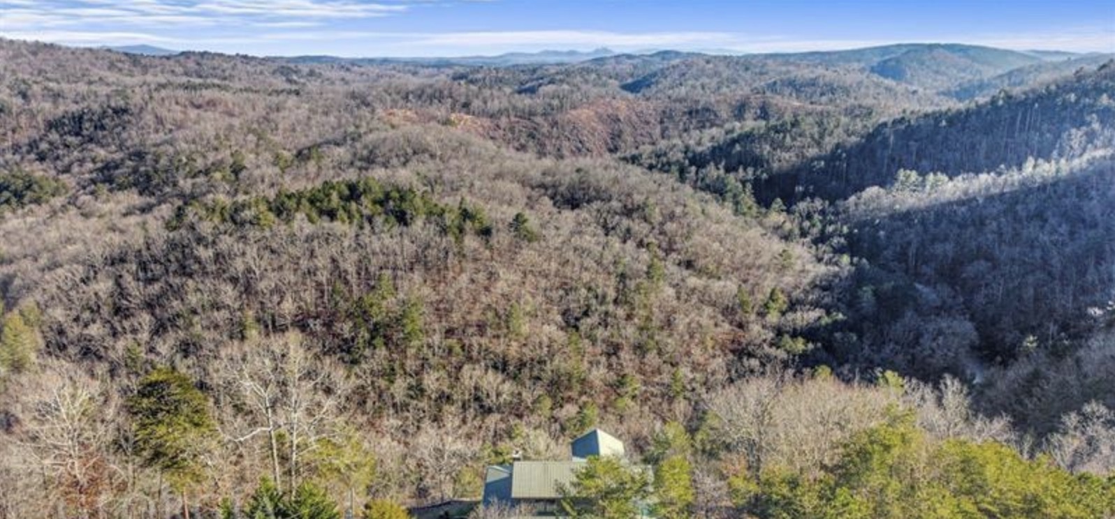 577 Galaxy Way Ranger, GA 30734 - Photo 9 of 12 a view of a forest with a mountain in the background