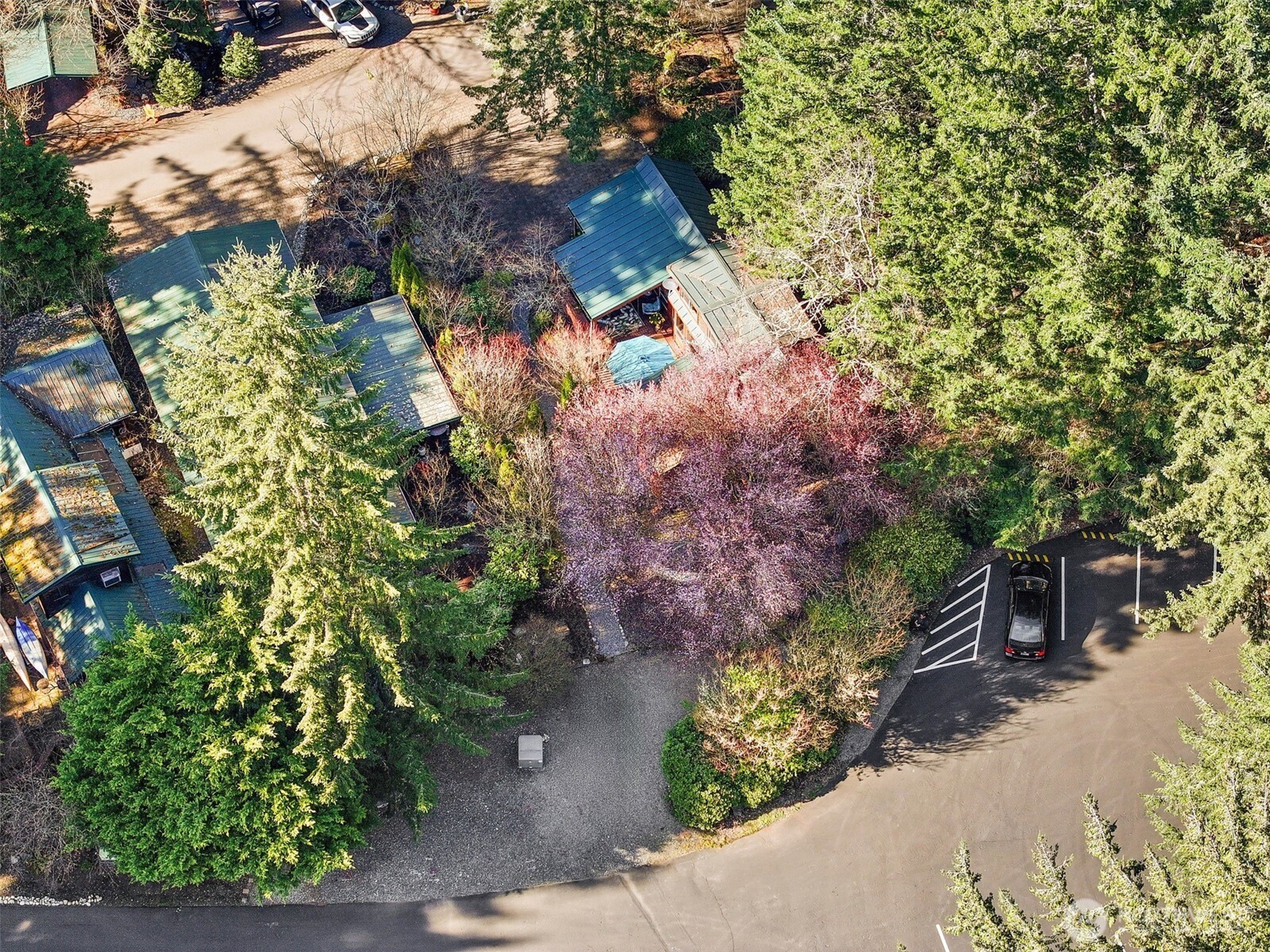 1546 Reservation Road Southeast, Unit 61 Olympia, WA 98513 - Photo 27 of 40