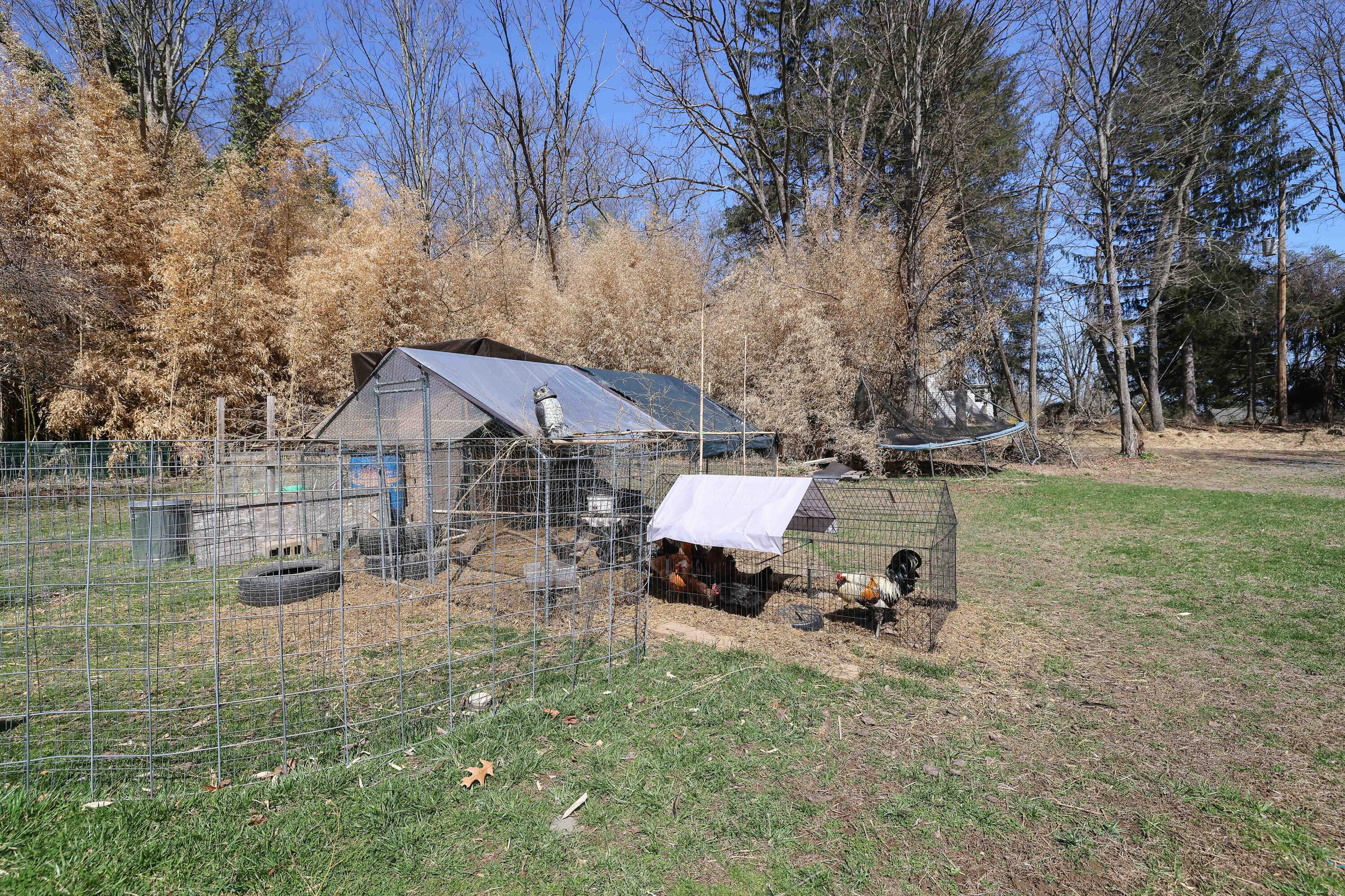 7102 Cherry Valley Road Stroudsburg, PA 18360 - Photo 58 of 77 RBR59258