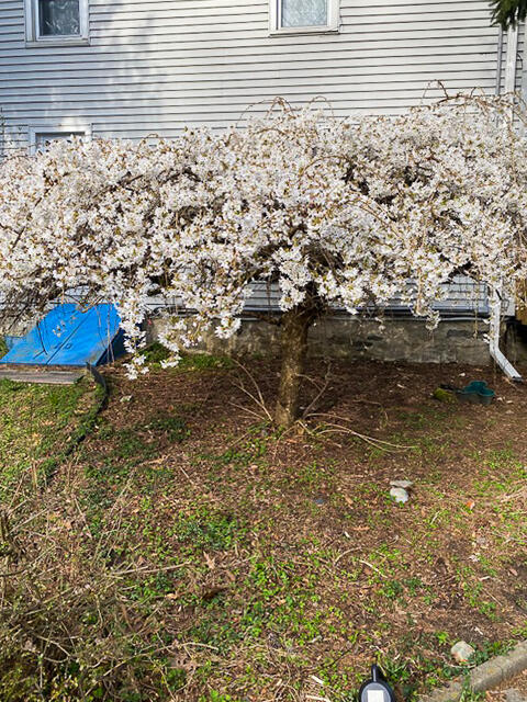 7102 Cherry Valley Road Stroudsburg, PA 18360 - Photo 70 of 77 image3