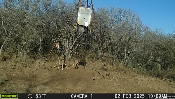 a picture of street next to a yard