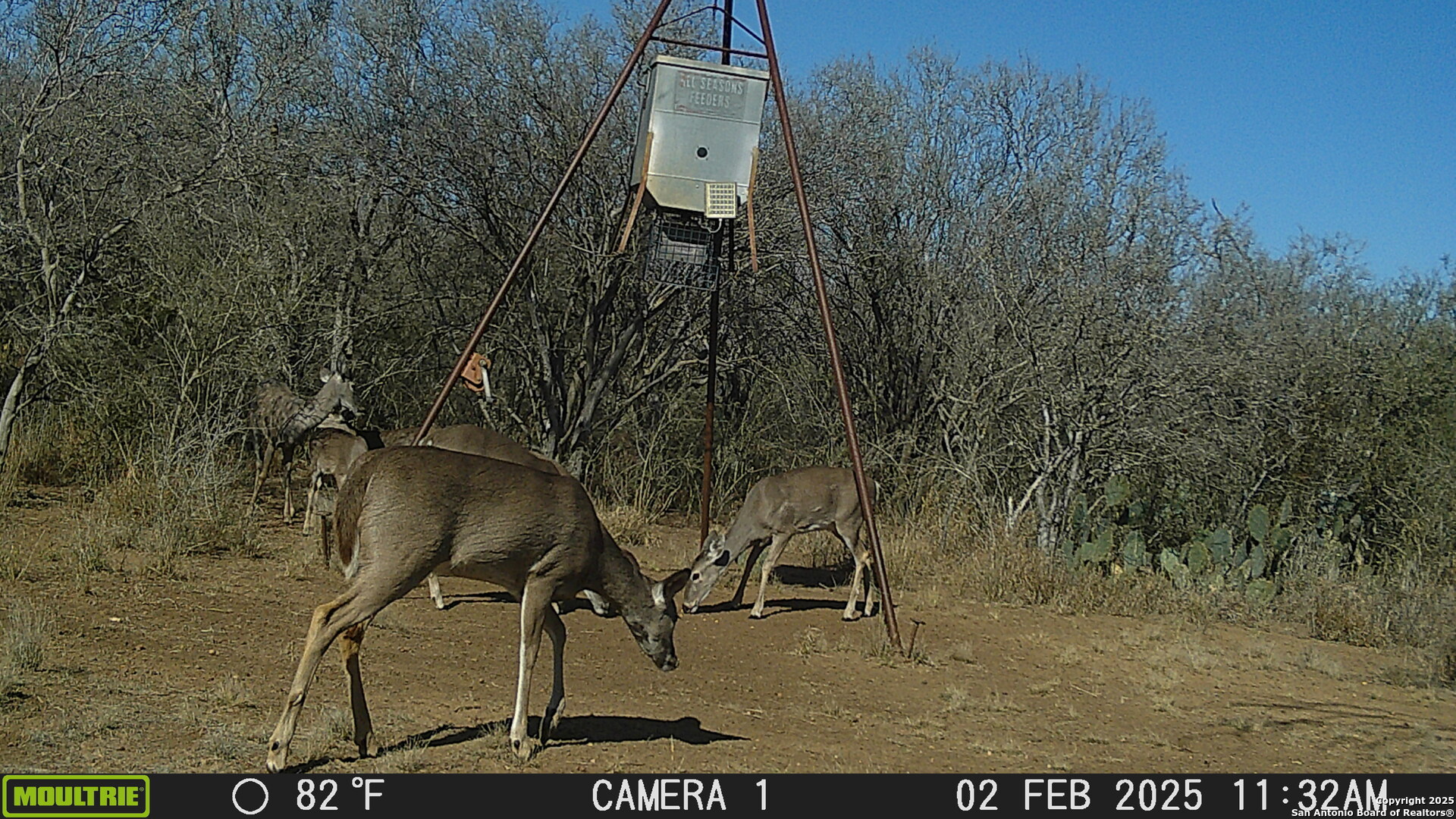 0 Los Alamos Road Cotulla, TX 78014 - Photo 12 of 41 a picture of street next to a yard