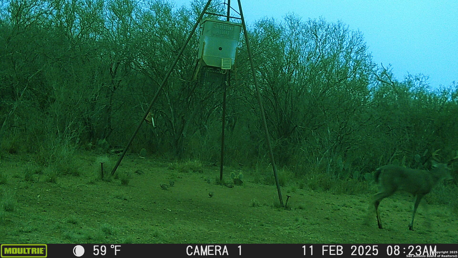 0 Los Alamos Road Cotulla, TX 78014 - Photo 13 of 41 a view of a garden