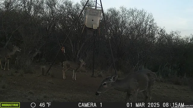 a view of a outdoor space