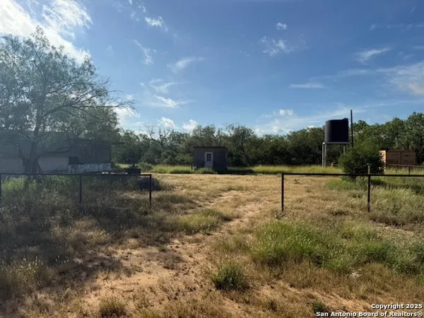 a view of a yard