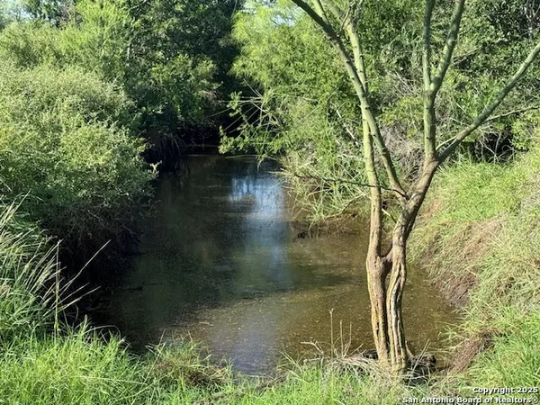 a view of a garden
